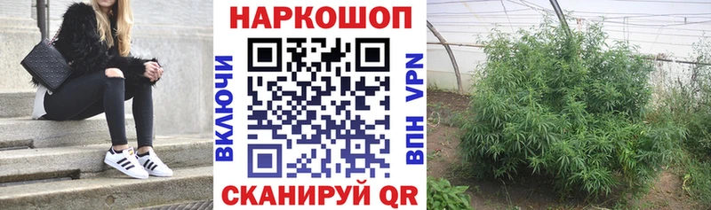 Купить закладку Муром ГАШ  КОКАИН  МЕФ 