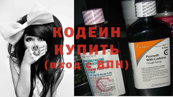 ПСИЛОЦИБИНОВЫЕ ГРИБЫ Медвежьегорск