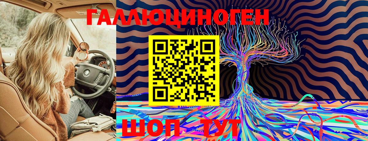Псилоцибиновые грибы Cubensis Муром