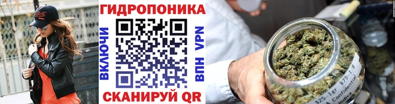 где купить   Муром  Бошки марихуана Ganja 